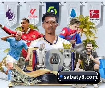 沙巴体育 APP